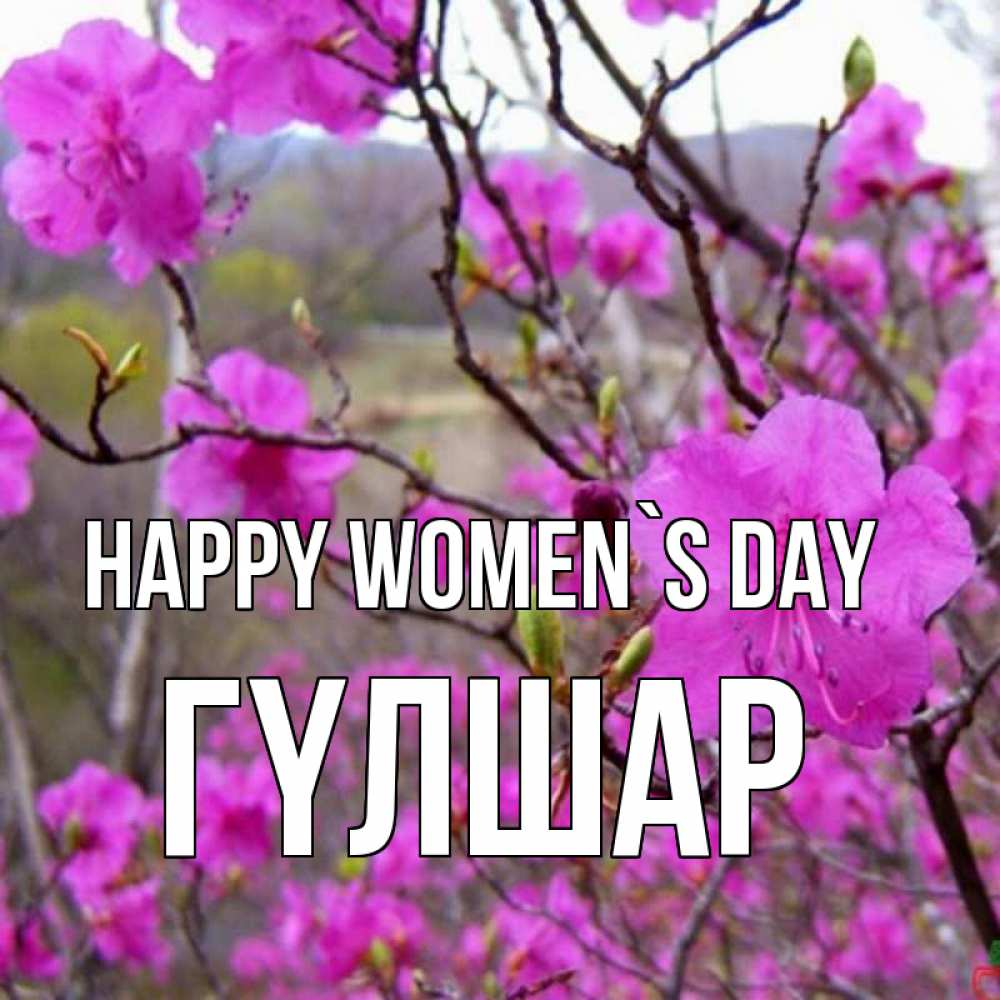 Greetings card с именем, ГҮЛШАР happy women`s day международный женский день Greetings with text for free download 
